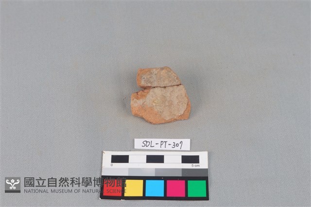 陶片藏品圖，第1張