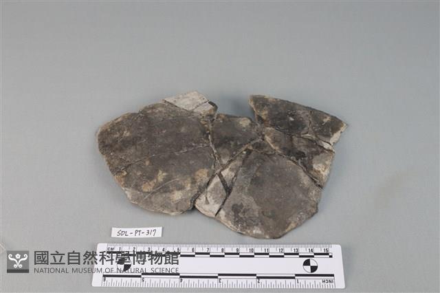 陶罐藏品圖，第1張