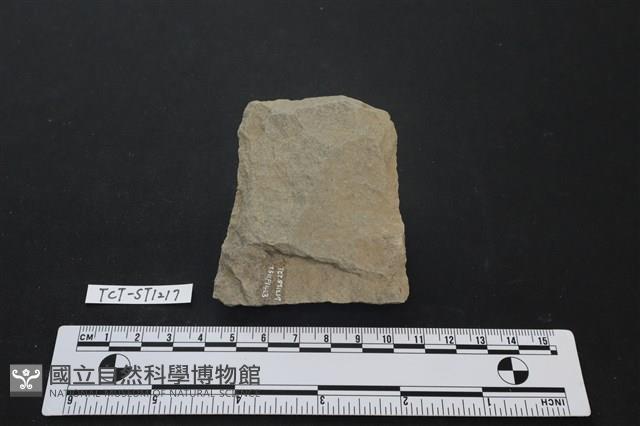 斧鋤形器藏品圖，第1張