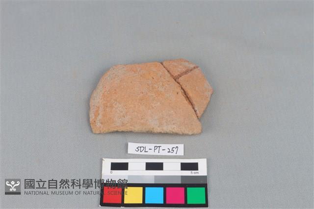 陶片藏品圖，第1張