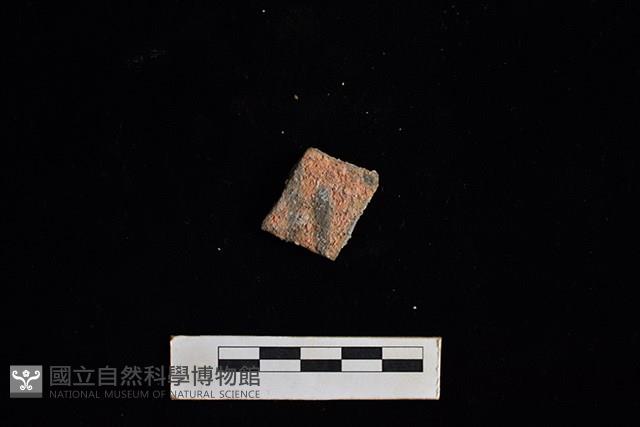 陶片藏品圖，第1張