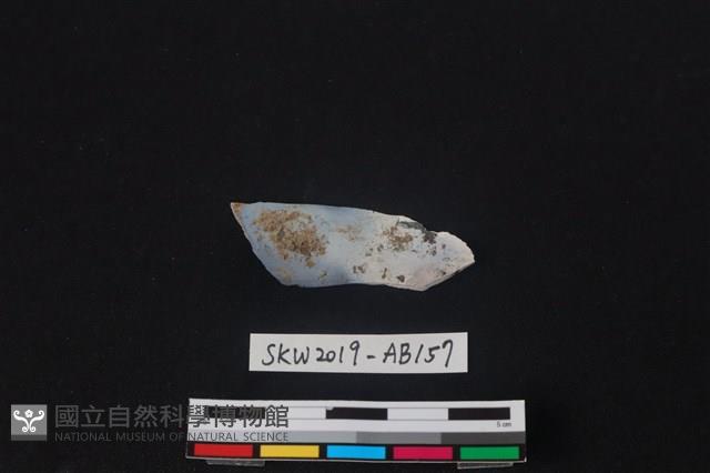 獸骨藏品圖，第1張