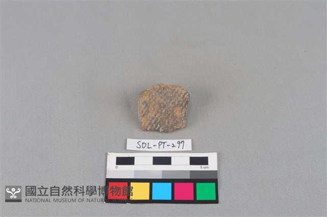 陶片藏品圖，第1張