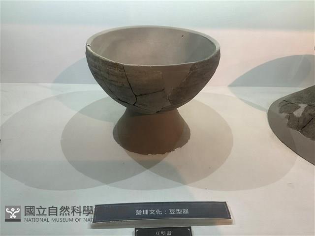 豆形器藏品圖，第1張
