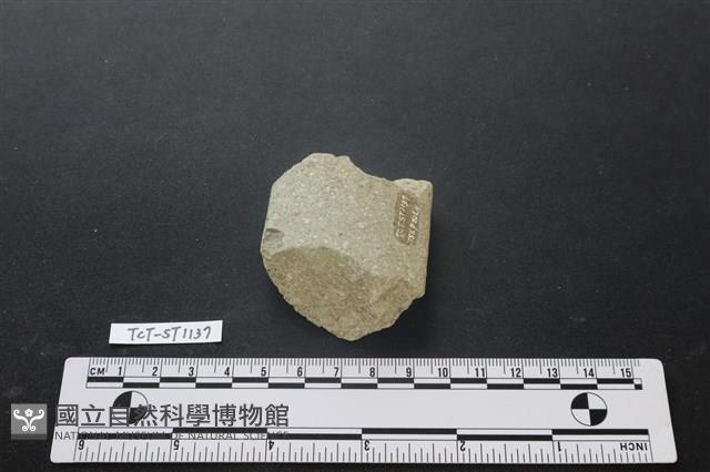 磨製斧鋤形器藏品圖，第1張