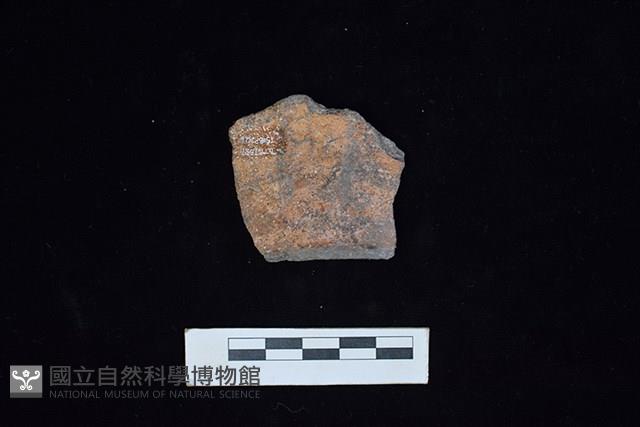 陶罐藏品圖，第1張