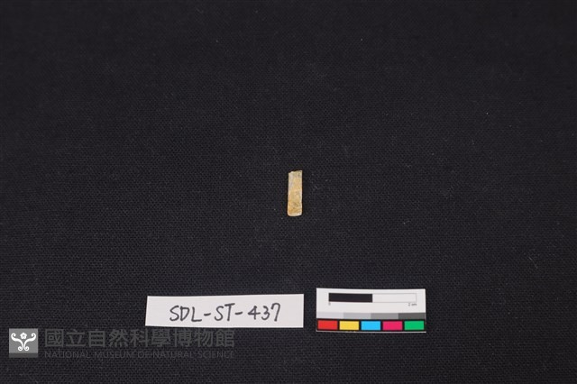 玉飾藏品圖，第1張