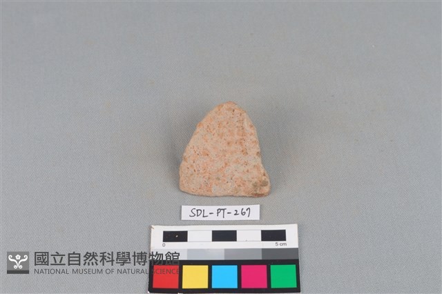 陶片藏品圖，第1張