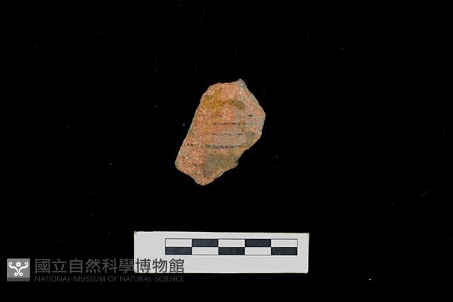 陶片藏品圖，第1張