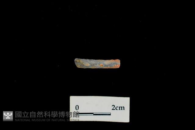 陶環藏品圖，第1張