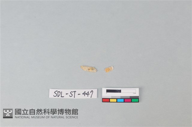 玉飾藏品圖，第1張