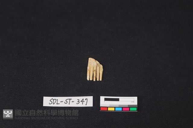 玉飾藏品圖，第1張