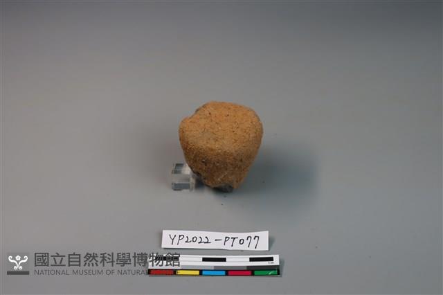 陶鈕藏品圖，第1張