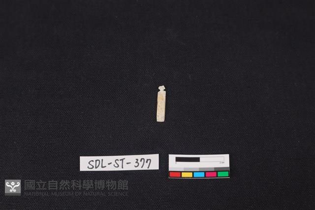 玉飾藏品圖，第1張