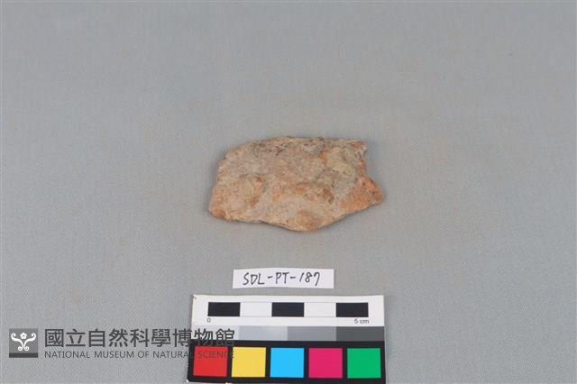 陶片藏品圖，第1張