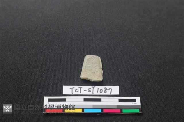 矛鏃形器藏品圖，第1張