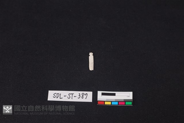 玉飾藏品圖，第1張
