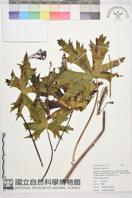 登錄號:S178587藏品圖，第1張