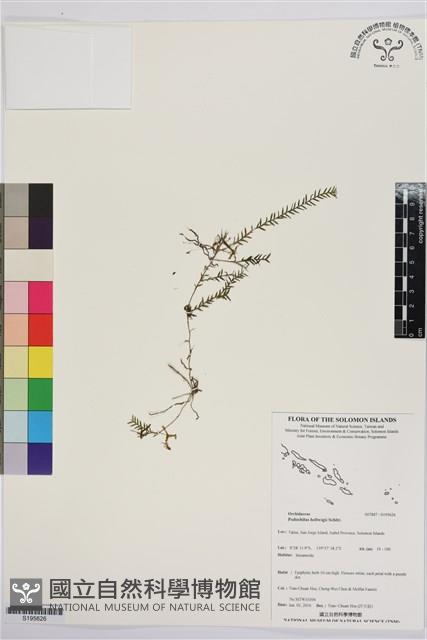 登錄號:S195626藏品圖，第1張