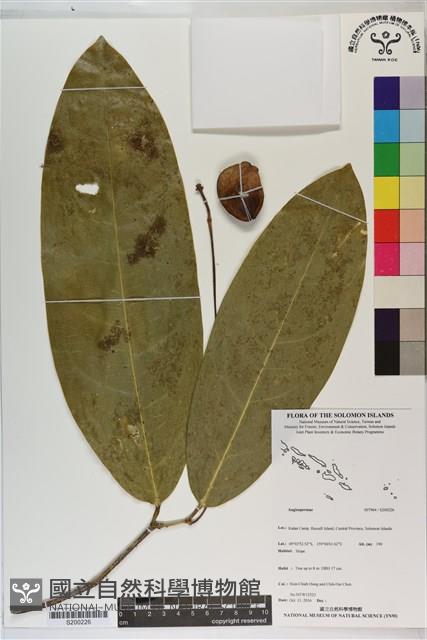 登錄號:S200226藏品圖，第1張