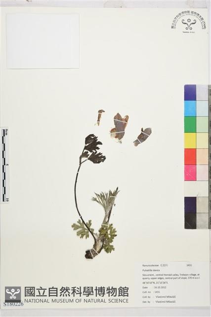 登錄號:S180226藏品圖，第1張