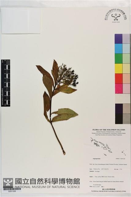 登錄號:S201326藏品圖，第1張