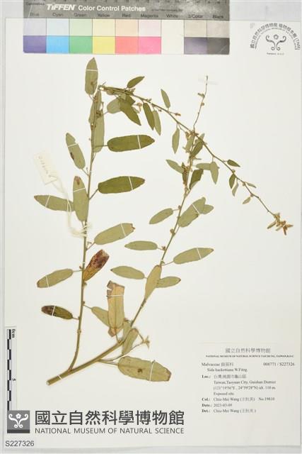 登錄號:S227326藏品圖，第1張