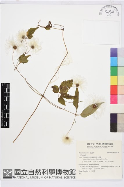 登錄號:S156826藏品圖，第1張