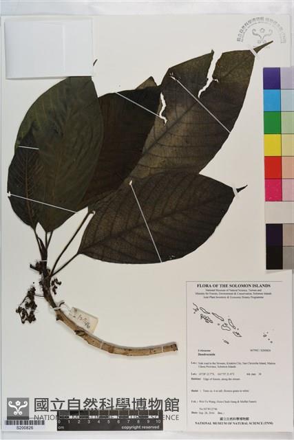 登錄號:S200826藏品圖，第1張