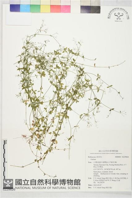 登錄號:S229826藏品圖，第1張