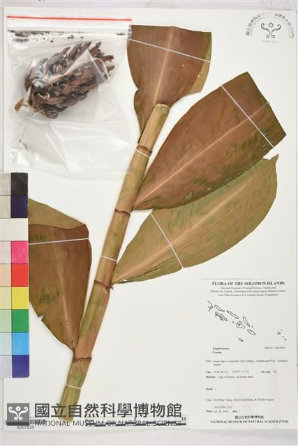 登錄號:S207826藏品圖，第1張