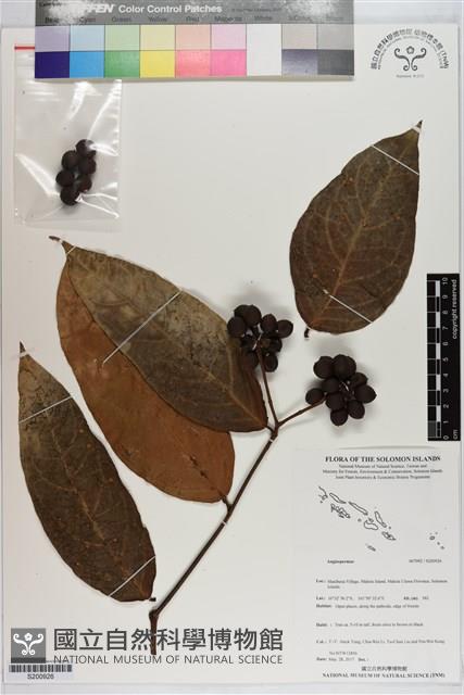 登錄號:S200926藏品圖，第1張