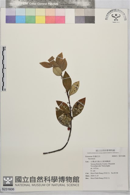 登錄號:S231606藏品圖，第1張