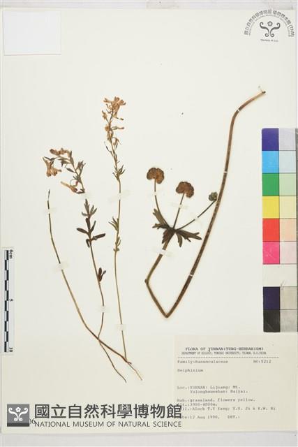 登錄號:S031706藏品圖，第1張