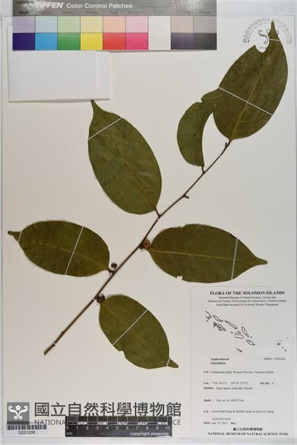 登錄號:S201206藏品圖，第1張