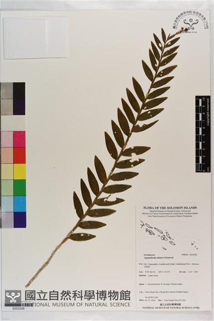 登錄號:S203206藏品圖，第1張