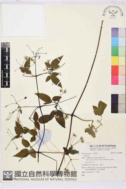 登錄號:S136806藏品圖，第1張