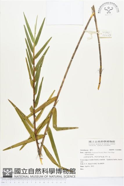 登錄號:S164806藏品圖，第1張