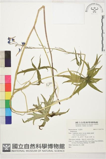 登錄號:S141716藏品圖，第1張