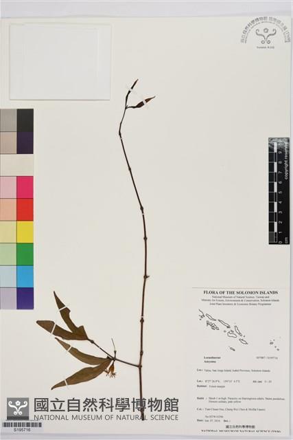 登錄號:S195716藏品圖，第1張