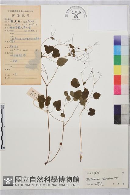 登錄號:S041216藏品圖，第1張