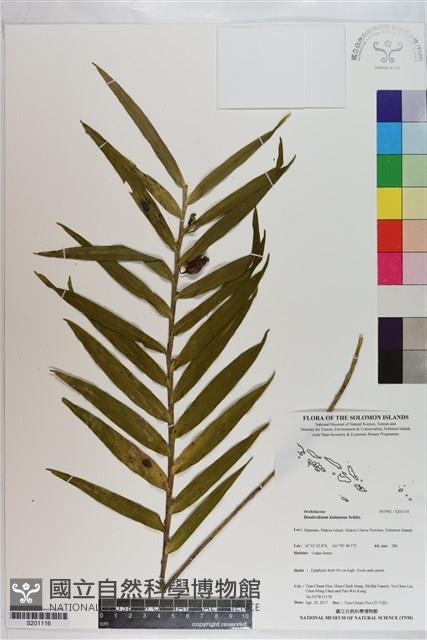 Accession Number:S201116 Collection Image