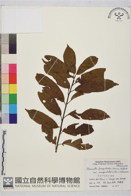 登錄號:S051316藏品圖，第1張