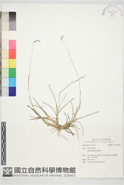 登錄號:S232816藏品圖，第1張