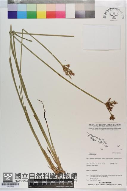 登錄號:S200816藏品圖，第1張