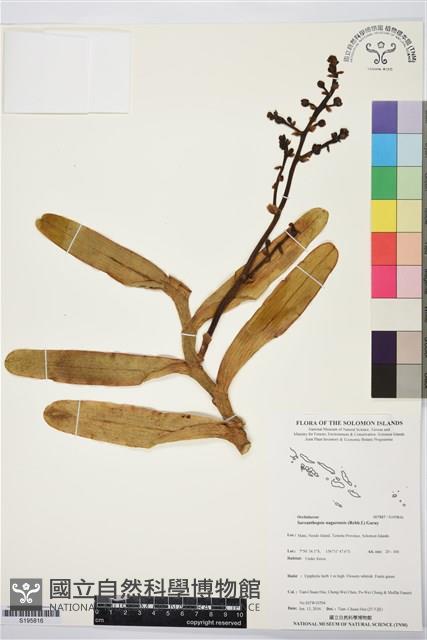 登錄號:S195816藏品圖，第1張