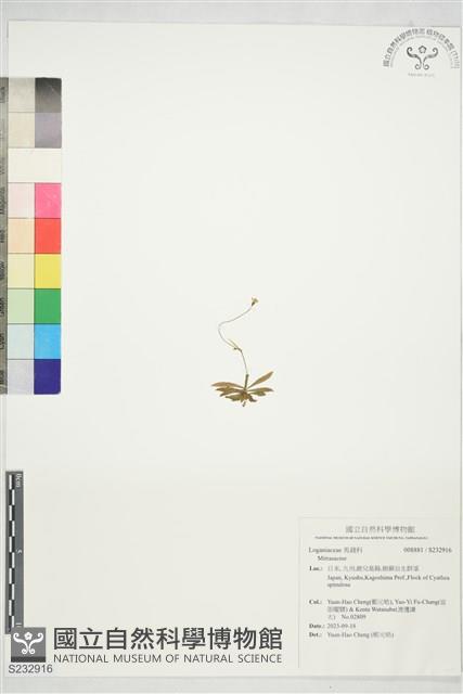 登錄號:S232916藏品圖，第1張