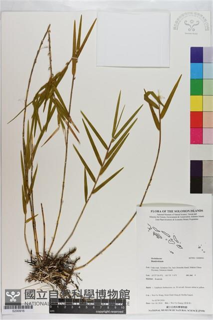 登錄號:S200916藏品圖，第1張