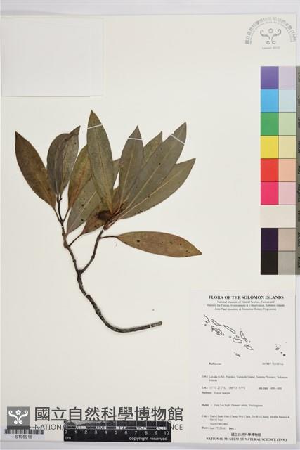 登錄號:S195916藏品圖，第1張