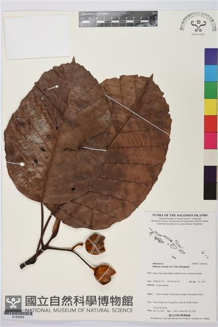 登錄號:S195656藏品圖，第1張